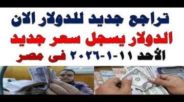 تحديثات المساء.. سعر اليورو مقابل الجنيه في نهاية تعاملات اليوم الأحد بمصر